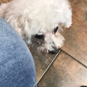 Meet your Posher, Carol